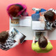Von oben fotografiert: Vier Personen um einen Tisch herum stehend und sitzend, alle vier lesen Bücher